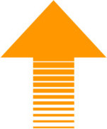 nyilfel