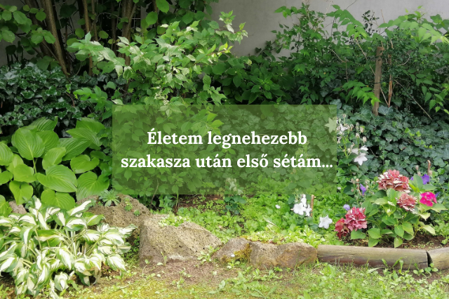 Életem legnehezebb szakasza után első sétám