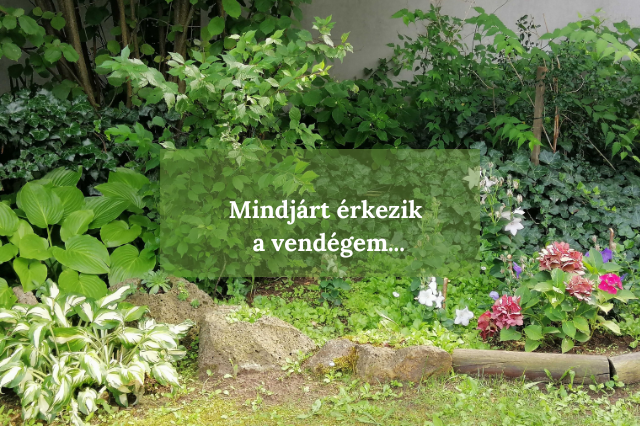 Mindjárt érkezik a vendégem…